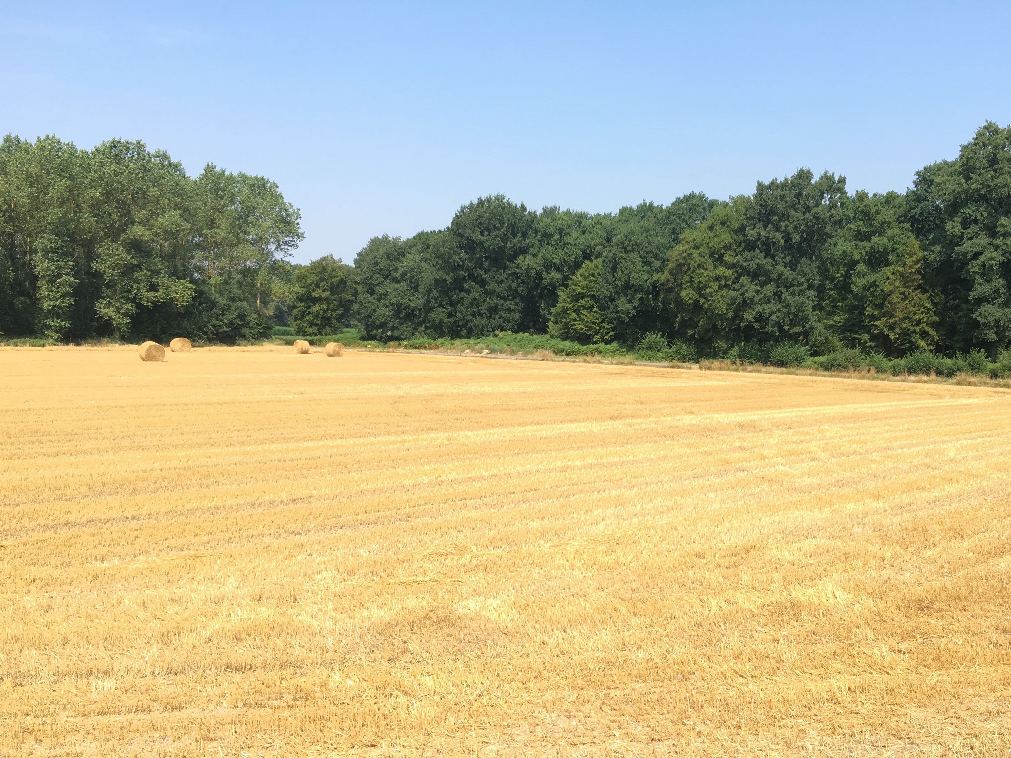 Administrative Fee - Trip to Marchiennes 2026